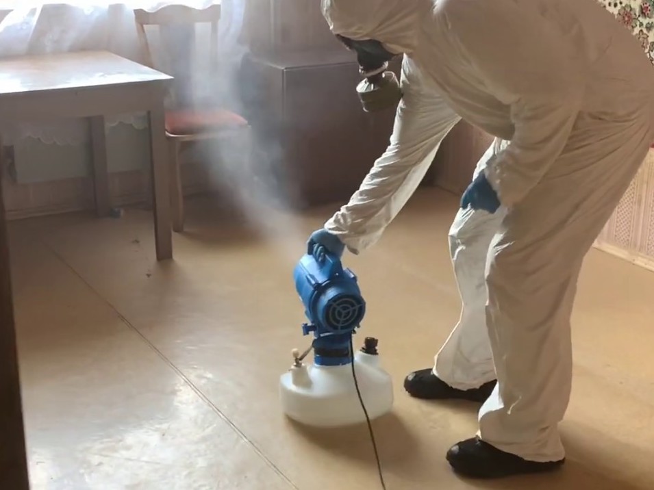 Уничтожение тараканов в квартире в Батайске